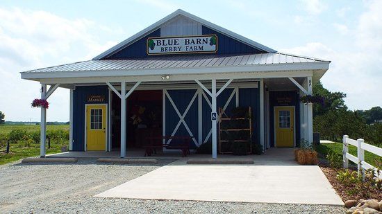 Blue Barn Berry Farm